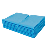 Aleza medicală pliabilă Acus Med din material netesut (10 buc.) 160 x 210 cm
