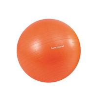 Gym Ball Minge de reabilitare Sanctband pentru exercitii